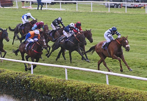 Royal Juniper fends off the chasing pack