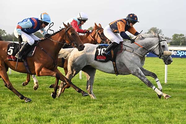 The grey L'un Deux Trois gets the job done 