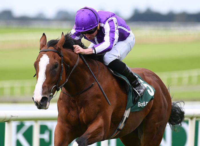 Diego Velazquez is due to run in the feature event