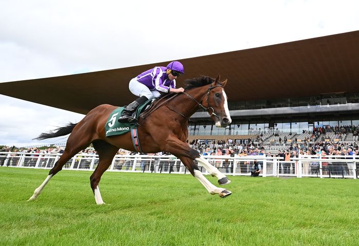 Diego Velazquez and Ryan Moore fancied in feature race. 