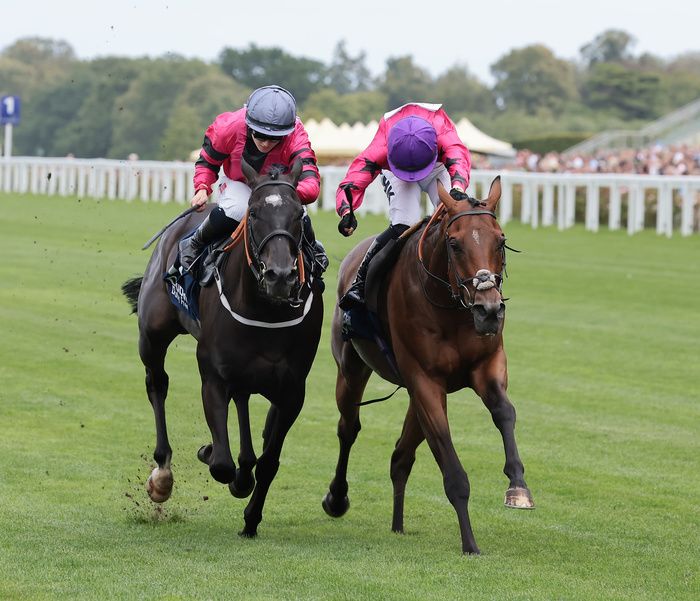 Scampi and Saffie Osborne win the Dubai Duty Free Shergar Cup Challenge Handicap.