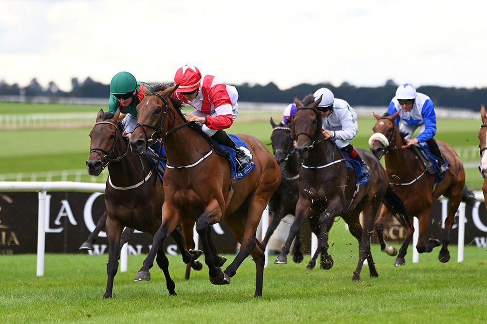 Lady Lunette (red and white) 