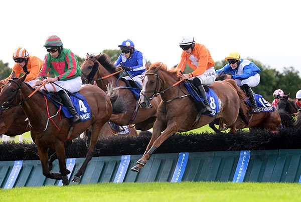 Spanish John (white cap) jumps the last under Michael O'Sullivan