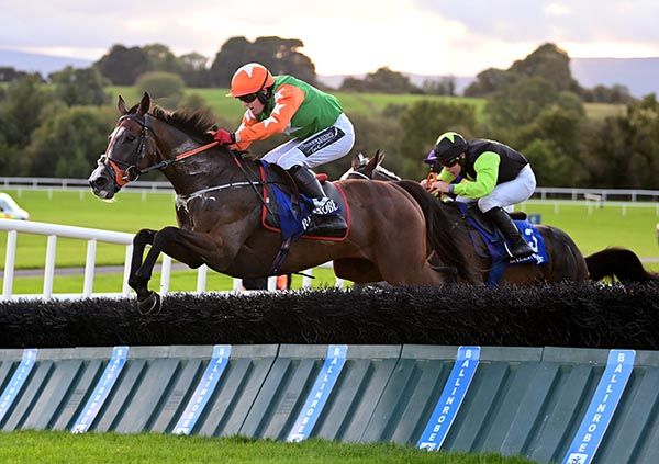 No Thanks jumps the last ahead of Sarah Beara