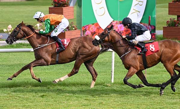 Spanish Tenor leads home Facethepuckout