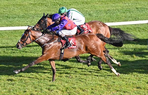 Great Blasket, near side, fends off Baalbec Beauty by a neck