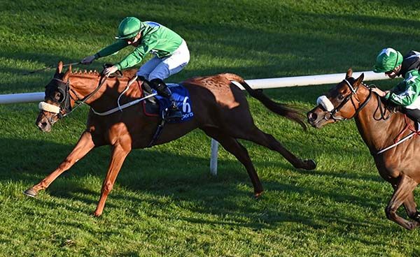 Slamadoor, far side, keeps finding