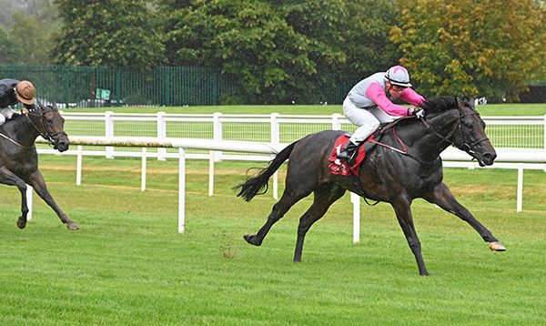 Never Shout Never draws clear under Jamie Powell