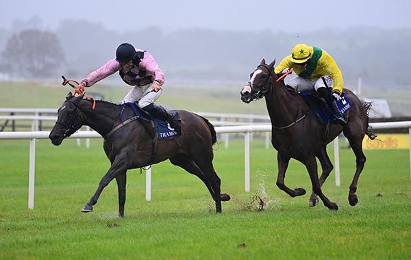 Inchiquin Star, left, gets the better of First Dare