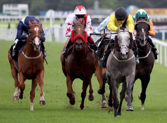 Desperate Hero and Tom Marquand winning the Highclere Castle Gin Handicap Stakes 