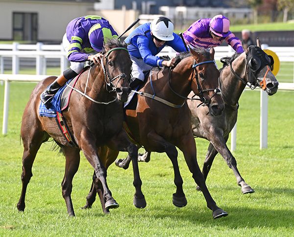The Organiser, middle, beats Nordic Passage, left, by the minimum margin 