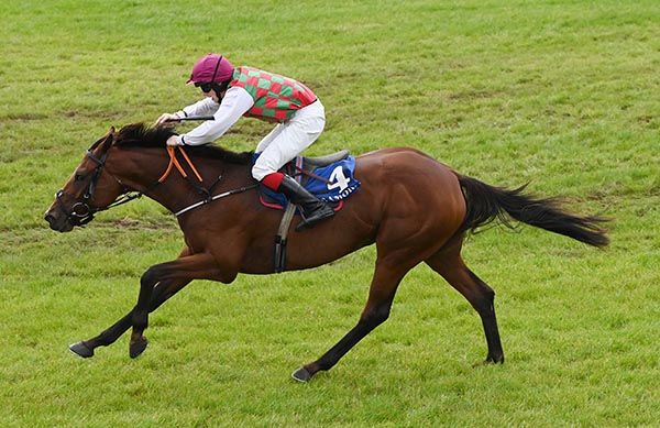 Finbarr Brickley keeps the revs up on Grannys Yaris