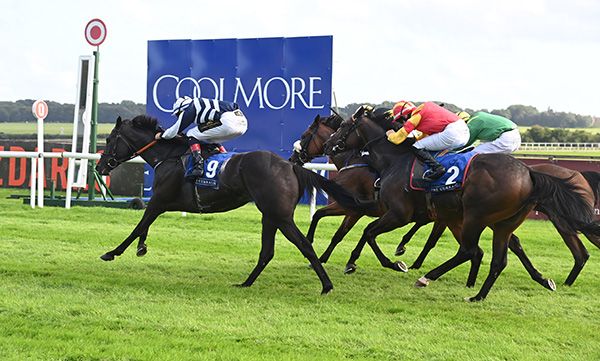 Brewel Hill, number 9