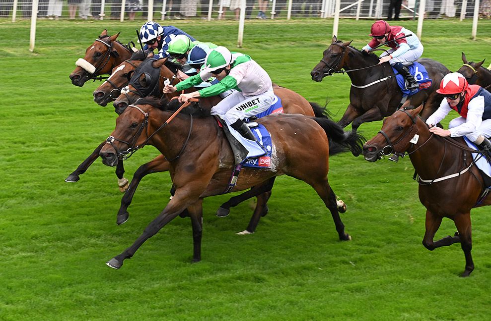 Equilateral has his head in front