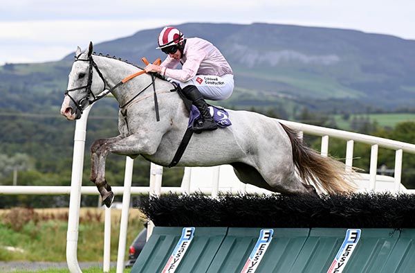 The Grey Dove and Jack Kennedy team up well