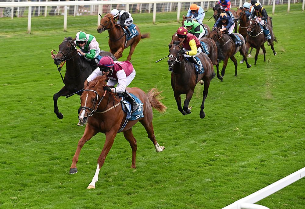Zoulu Chief winning at York