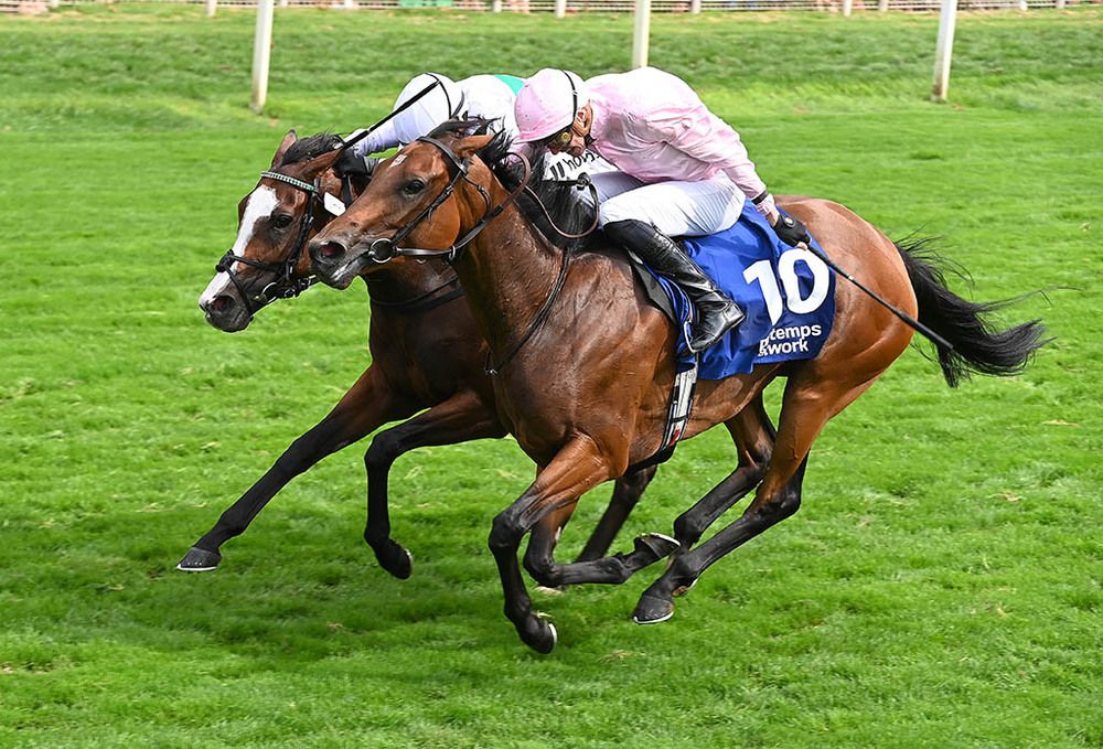 Warm Heart, near side