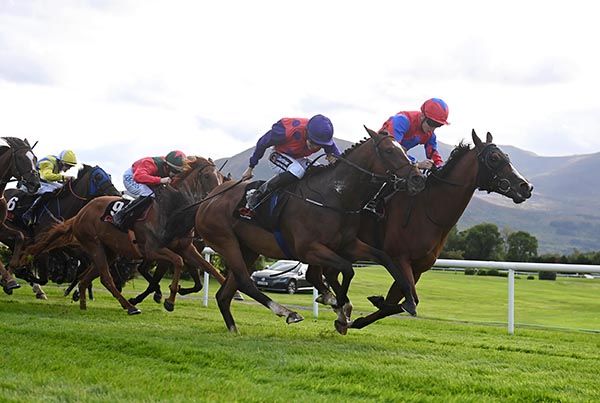 Great Blasket, second right, wears down Rock Etoile