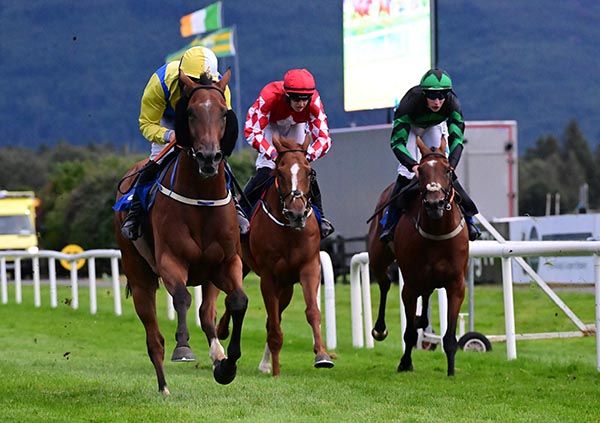 Almuhit, left, runs on strongly