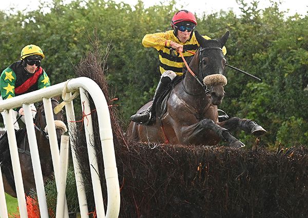 Winnie Woodnut takes over at the last 