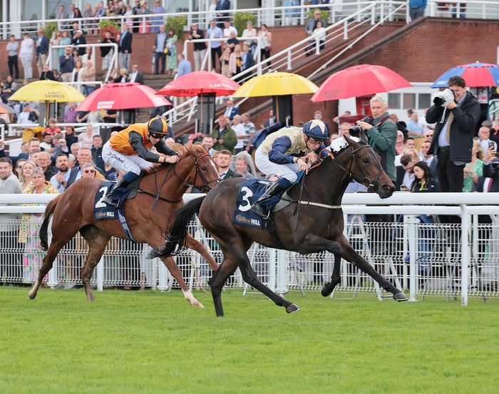 Darnation winning at Goodwood 