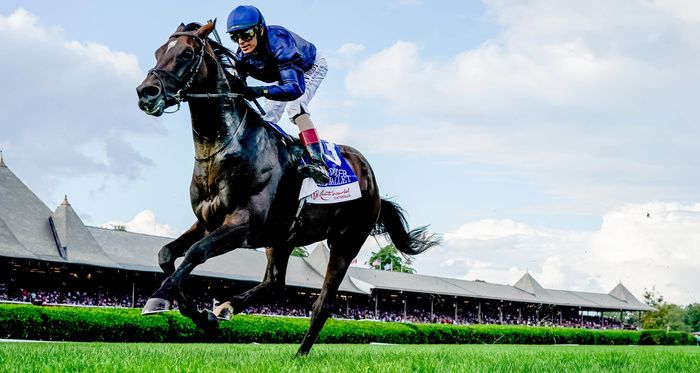 Bolshoi Ballet winning the Sword Dancer Stakes 