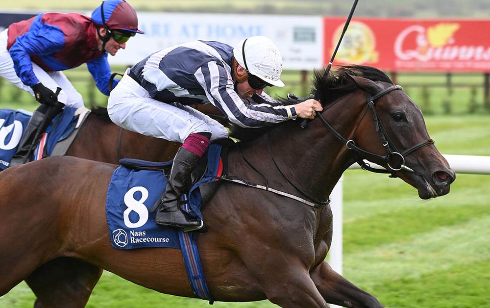 Matter Of Fact races past Sweetest