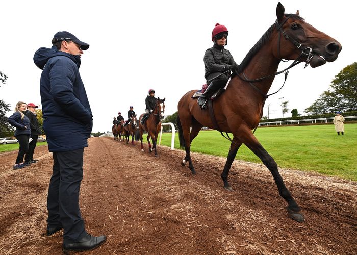 Aidan O'Brien with Paddington 