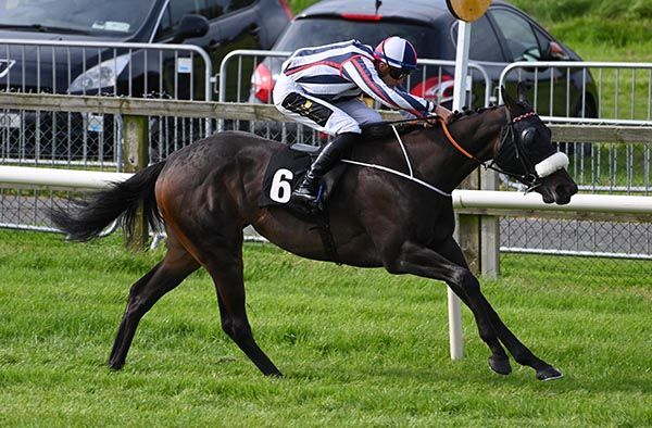 Woodcock Flight comes home a clearcut winner under Scott McCullagh