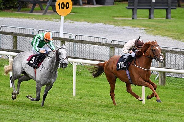 Smaoineamh Sile & Jamie Powell lead home Indiana Grey & Dylan Browne McMonagle