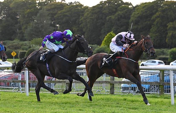 Charming Lady & James Ryan lead home Polar Bear & Shane Foley