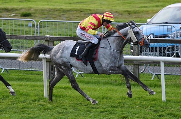 Dartan is ridden out by Derek O'Connor