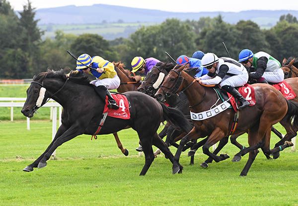 Trueba and Wesley Joyce win the Follow Us On Social Media Handicap Healy Racing Photo 