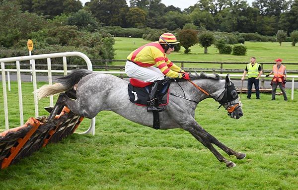 Dartan and James Smith win the Bective Stud Mullacurry Cup Handicap Hurdle Healy Racing 