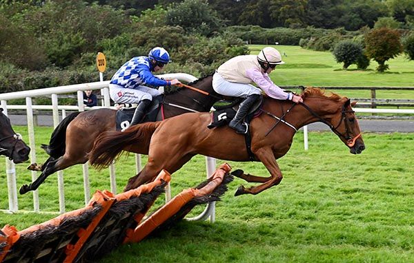 Lady Of The Vale clears the last