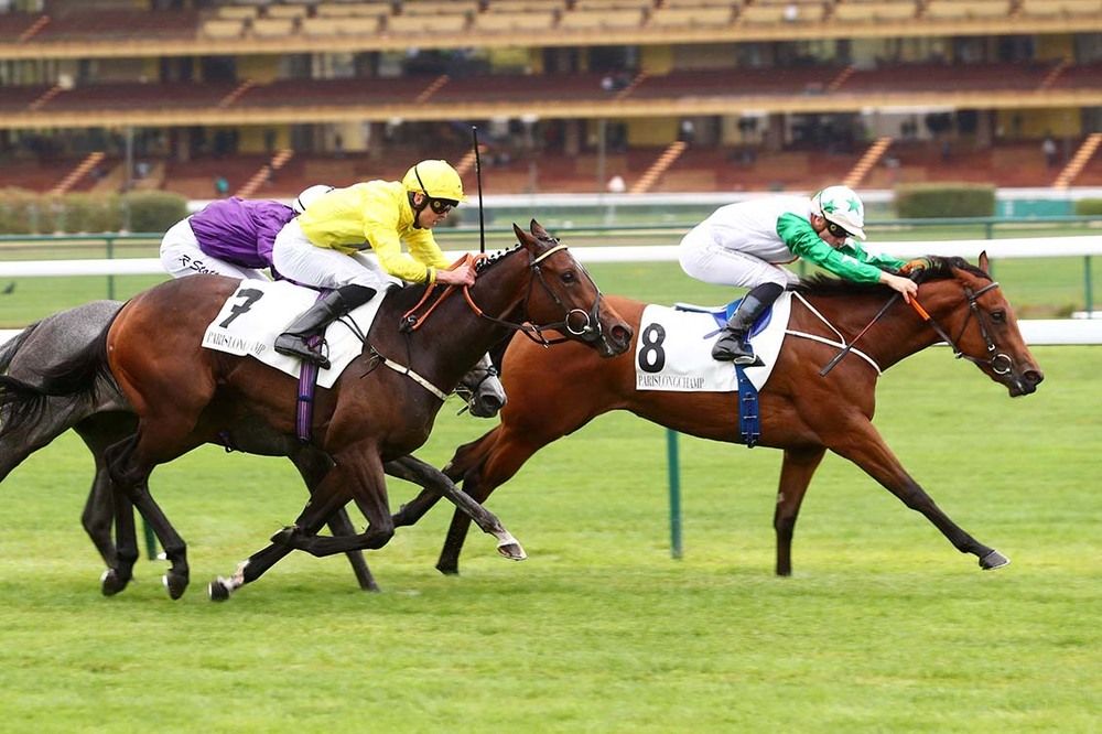 Tiger Belle winning at Longchamp