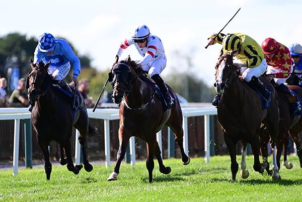 Twilight Jet, centre, wins by a neck 