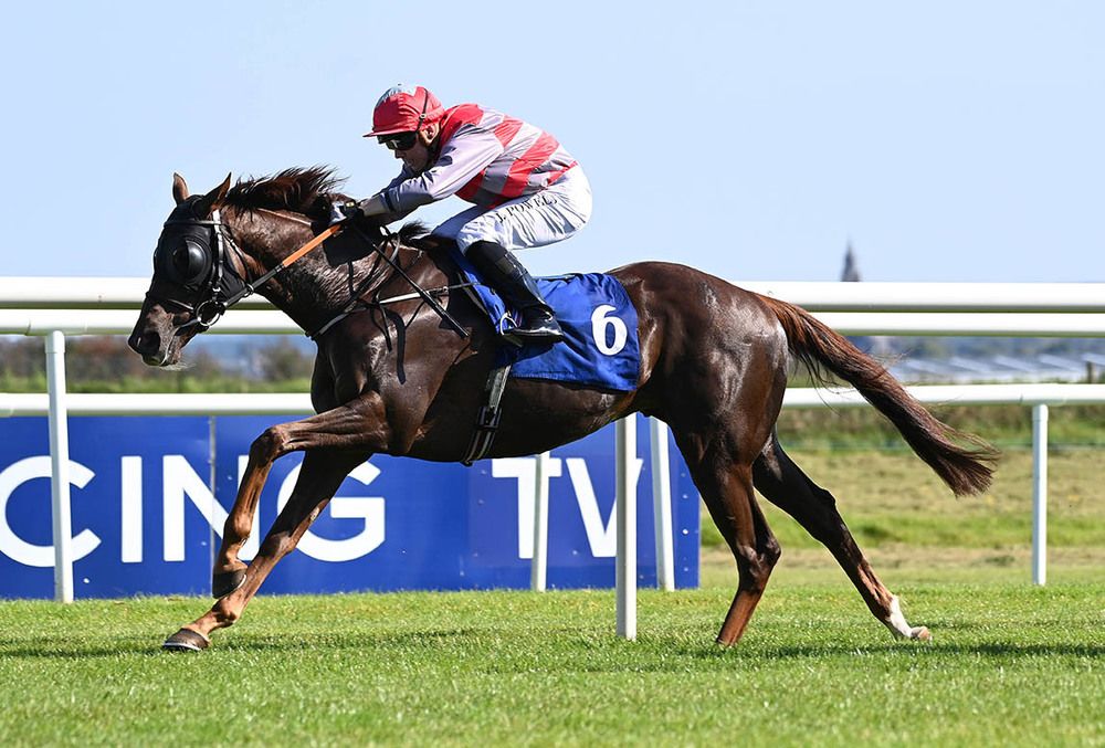 Rock Dandy and Jamie Powell pictured on their way to victory