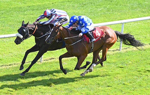 Woodcock Flight, far side, beats Dance Night Andday by a head