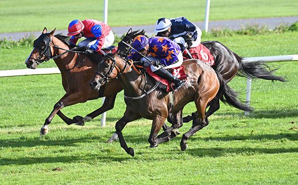 Lady Arwen, near side, cuts them down