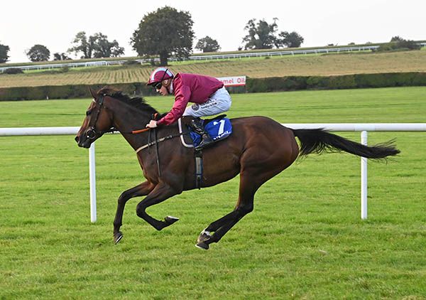 Extensio and Joey Sheridan win the John O Brien Memorial Tipperary Cup Handicap.