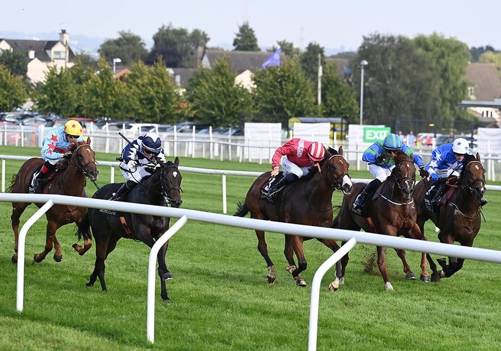 Smullen's Pride, left, keeps them at bay