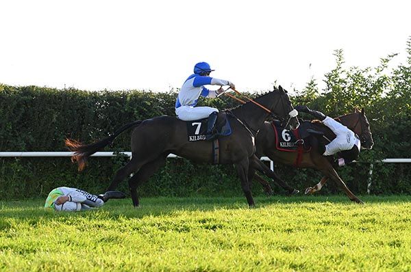 Typical Thomas is left clear at the last 