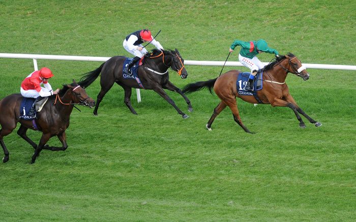 Rogue Millennium finishing second to Tahiyra at Leopardstown