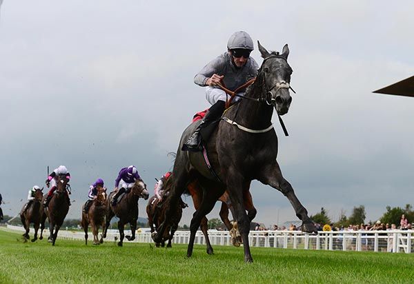 Fallen Angel and Danny Tudhope