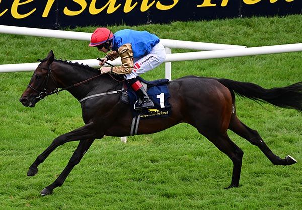 Native American and Colin Keane