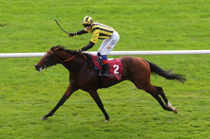 Eldar Eldarov  David Egan winning the Irish St Leger