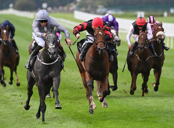 Fallen Angel (grey silks) winning the Moyglare Stud Stakes