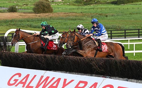 Calico (nearest) jumps the last alongside Kiki Badger and Rexem (centre) 