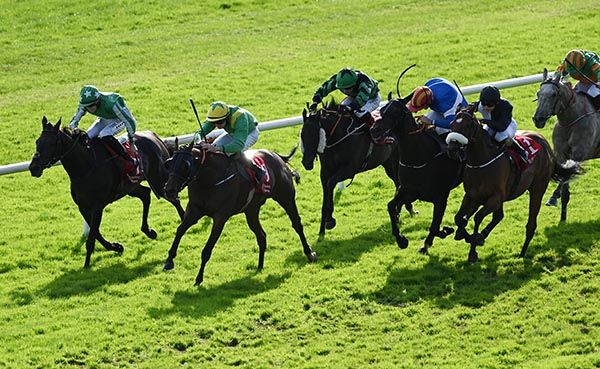  Rampage (yellow cap) 